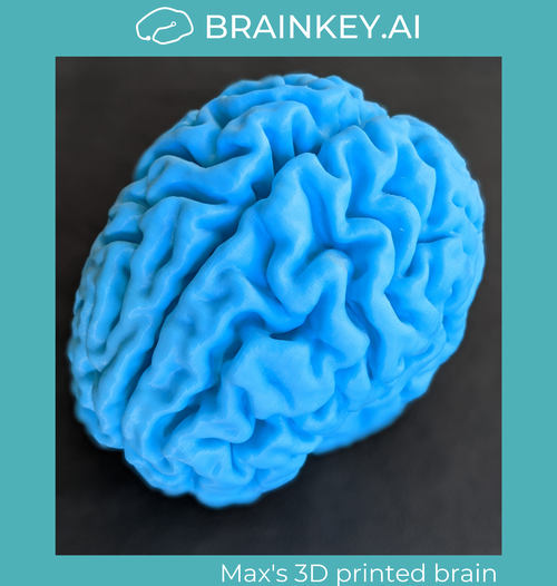 BrainKey.Max.Ibel(3).png