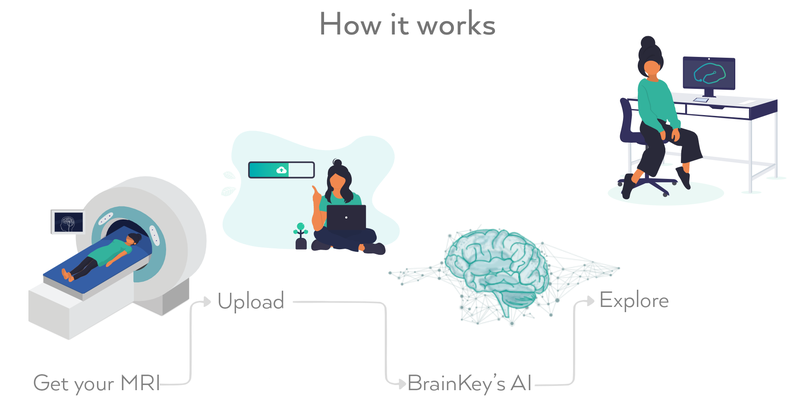 BrainKey process